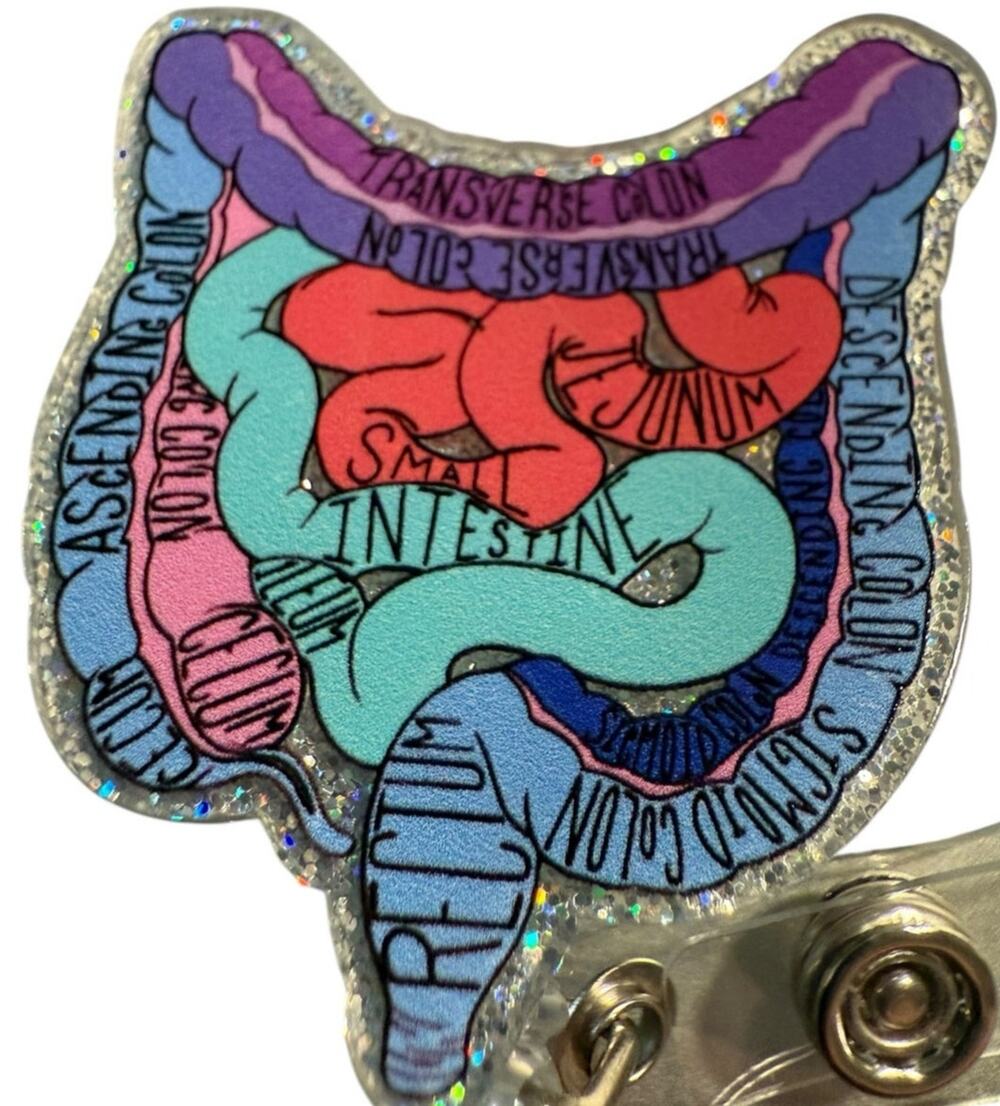Anatomical Colon Retractable ID Badge Reel, Gastro, Colorectal, Surgeon NWT
